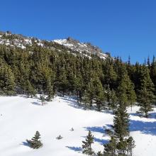 The summit from about 5600 feet