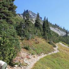 End of NPS trail Looking east at boot track to summit