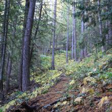 Beginning of hike.  Nice inviting fall colors.