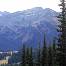 Grand Park in Mt Rainier National Park