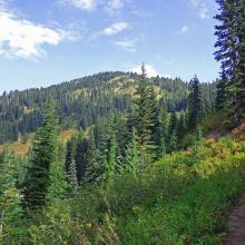 Shriner Pk photo taken along the trail approx 800 vert. ft and 1.5 miles from the summit.