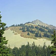 Silver Peak, WA SOTA Activation