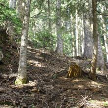 E-W Ridge to Saceface
