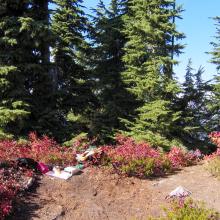 The operating position at the summit