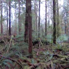 The official summit of "Mt Electric"