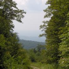 view through the trees on the way down, looking SW