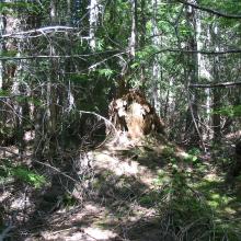 The actual summit?  Hard to be sure.