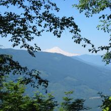 Mt. Baker from the road on the way down.