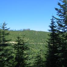 The summit of Little St. Helens as seen from the road going up.