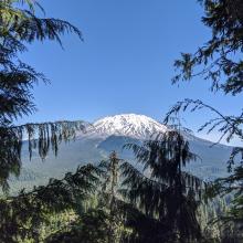 Mt. St. Helens from the trail