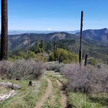 Looking back down trail to Mt. McLoughlin in the distance and Roxy Ann Peak, little bump to its left (near Medford)