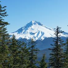 Mt Hood View from the tower