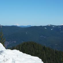 View of Mt Rainier and Mt Adams from ridgeline
