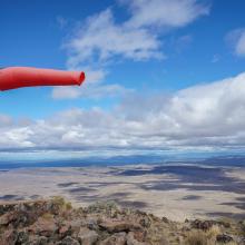 Pine Benchmark Windsock