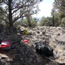 Activation zone with MTR4B and antenna wire