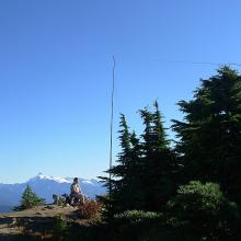 Room at the top, and handy trees