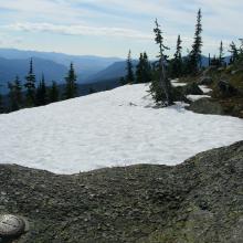 Looking E up the Methow river valley