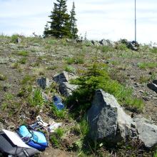 hunkering down place