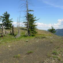 Approaching the peak