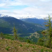 Looking SW from 1st hill on the ridge