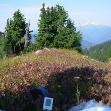 Operating in splendour