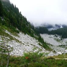 North down coulee from Surprise Gap