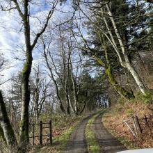 Gate Below Site - Key Required to Open