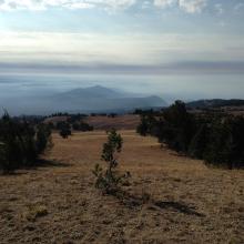 Looking south on ascent of Dutton Ridge, very smoky day