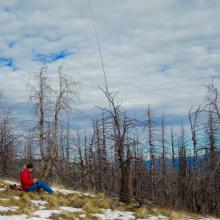 Working'em from some cool new territory. Thanks for the picture Dave!