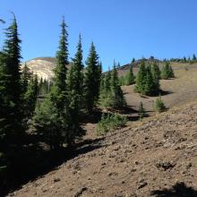 Ascending north side of Belknap