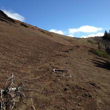 The last slog towards the summit