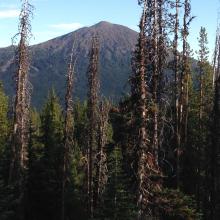 View of Mt. Bachelor from summit