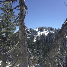 Bigger Twin from the Smaller, almost turned back here