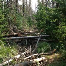 Ya got to be kiddin' me