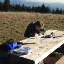 Bob, K3KHF, hard at work, banging out the contacts