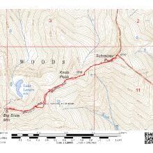 Rough track from trail to summit