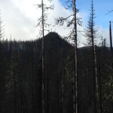 The "end-on" view of the summit from beginning of Patjens trail