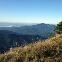 Heading up the road to the summit