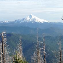 Nice views on the way up to the summit