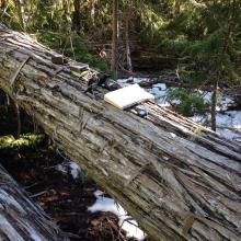 Organic, recyclable operating position, courtesy two Red Cedars