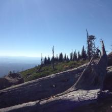 Looking towards fire tower from operating position