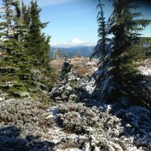 Summit of Bachelor with Mt. Hood in distance