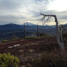 from the summit looking south