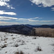 Looking SW into Valles caldera from summit
