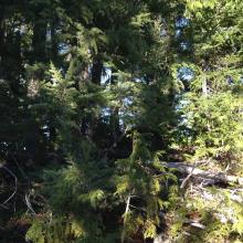 Seriously, this is the summit?!