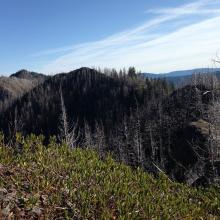 Unnamed peak, Knob Peak, Schreiner Peak at start of cross country