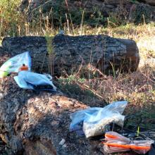 Unpacking at W7O/SC-099