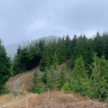 Road and peak in the distant fog