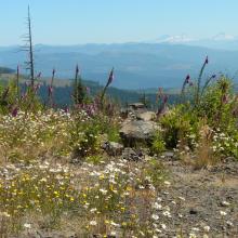 Three Sisters in the distance