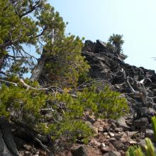 The summit top from the activation zone just below it.